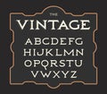 Vector set of vintage letters. Retro latin alphabet. Elegance old typeset. Serif letters collection. Royalty Free Stock Photo