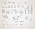 Vector set of vintage sea life design elements. Royalty Free Stock Photo