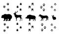 Vector set of walking wild wood animal tracks