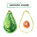 Vector set of watercolor avocado