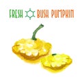 Vector set of watercolor bush pumpkin