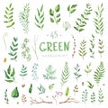 Vector Set watercolor elements. Collection garden and branches. Illustration isolated on white background.