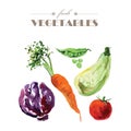 Vector set of watercolor fresh vegetables on white background.