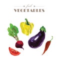 Vector set of watercolor fresh vegetables Royalty Free Stock Photo