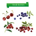 Vector set of watercolor fruits on white background. Royalty Free Stock Photo