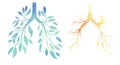 Vector set of watercolor silhouette of human lungs from leaves and branches. Withering health. Old human organ. Earth seasons