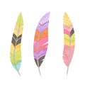 Vector Set of Watercolor Style Feathers Royalty Free Stock Photo