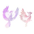 Vector set of watercolor woodpeckers silhouettes. Pink and violet stylized bird clipart isolated from background. Design elements Royalty Free Stock Photo