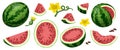 Vector set of watermelons isolated on white background. Whole watermelon, half watermelon front and side, watermelon