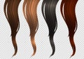 Vector Set of Wavy Strands of Colorful Hair Locks. Realistic 3d Illustration of Hairstyle Samples. Design Element for Royalty Free Stock Photo