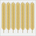 Vector set of wheat ears. Sketch of cereal for bakery and other design Royalty Free Stock Photo