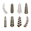 Vector Set of Wheat Icons, Grain Symbols, Different Shapes Collection, Black Design Elements Isolated. Royalty Free Stock Photo