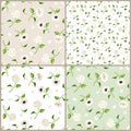 Set of white, beige and green seamless floral patterns. Vector illustration.