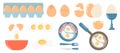 Vector set of white and brown eggs, whole and cut chicken eggs, broken eggs, fried eggs on a frying pan and plate with Royalty Free Stock Photo