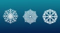 Vector set of 3 white Christmas snowflakes on blue isolated background. New year design elements