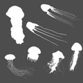 Vector Set of White Silhouette Jellyfishes
