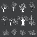 Vector Set of White Silhouettes of Bare Trees and Bushes without Leaves