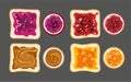 Vector set of white toast bread slices with fruit jam Royalty Free Stock Photo