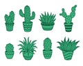 Vector set of wild cacti in pots. Cute dessert plants. Haworthia, Carnegiea, Sanseviearia, Rebutia, Opuntia