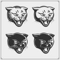 Vector set of wild cat heads. Royalty Free Stock Photo