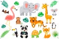 vector set of wild exotic animals in cartoon style.