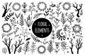 Vector set of wild flowers. Hand-drawn illustration isolated on white background. Field plants, meadow grasses. Botanical elements Royalty Free Stock Photo