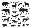 Vector set of wild forest animals silhouette Royalty Free Stock Photo