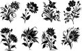 Vector set of wildflowers, Vector illustration for T-shirt graphic