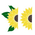 Vector set of yellow half of sunflowers with leaves on white background