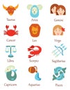 Vector set of zodiac signs. A collection of esoteric symbols. Card reading. Magic signs. Cartoon style. Art.