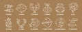 Vector set of Zodiac signs, stars, white color Constellations  on gold background. Logo, tattoo or illustration. Astrological Royalty Free Stock Photo