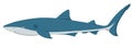 Vector Shark