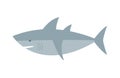 Vector shark character fish animal. Royalty Free Stock Photo