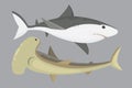 Vector shark character. Royalty Free Stock Photo