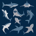 Vector shark comic style character wild fish set. Royalty Free Stock Photo