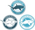 Vector shark logo illustration Royalty Free Stock Photo