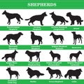 Vector shepherds silhouettes