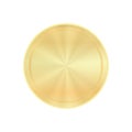 Vector shiny round with concentric circles, blank template for coins, medals, buttons, gold labels