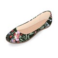 Vector shoes, women`s ballet slippers with floral print, isolated