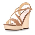 Vector shoes, women`s beige brown sandals from open-topped on a tankette, isolated