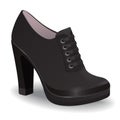 Vector shoes, women`s black ankle boots on high heel with shoelaces, isolated