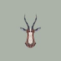 Vector sign abstract head of African Antelope blesbok.