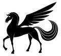 Vector sign. Pegasus.