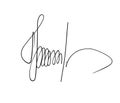 Vector signature. Fake autograph. Sample doe. Handwritten scrawl dummy. Handwriting scribble. Black writing sketch isolated on bac