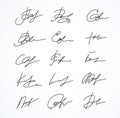 Vector Signature fictitious Autograph Royalty Free Stock Photo