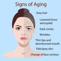 Vector signs of aging face with two types of skin, young and old isolated