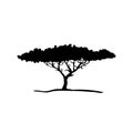 Vector silhouette of acacia tree Royalty Free Stock Photo