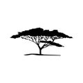 Vector silhouette of acacia tree Royalty Free Stock Photo