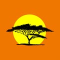 Vector silhouette of acacia tree in safari sunset background. A