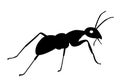 Vector silhouette ant bug black and white Royalty Free Stock Photo